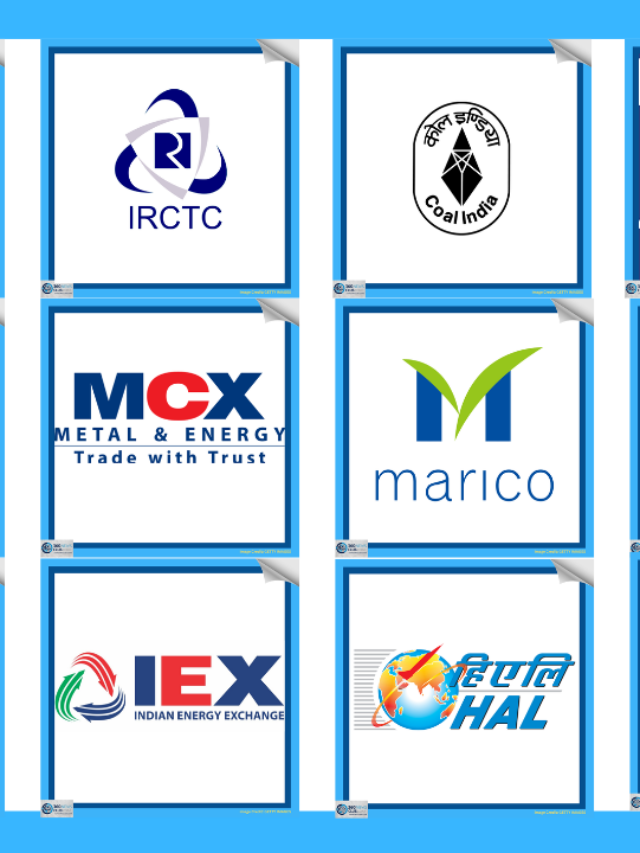 15 Monopoly Leaders in the Stock Market INDIA